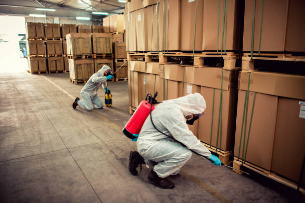Wasp Removal Services in Germantown, WI