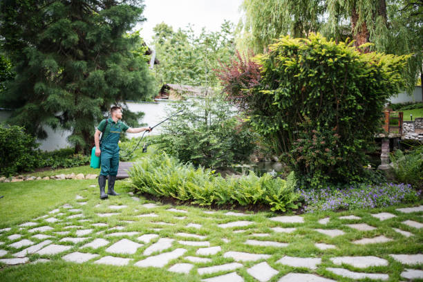 Best Insect Control  in Germantown, WI