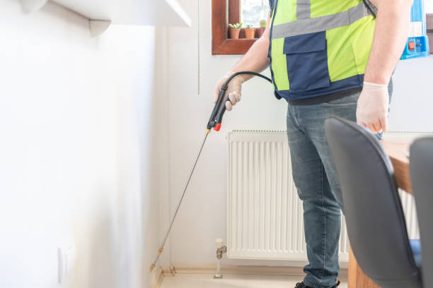 Best Flea Control Services  in Germantown, WI