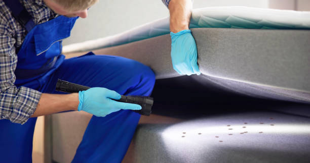 Best Wasp Removal Services  in Germantown, WI