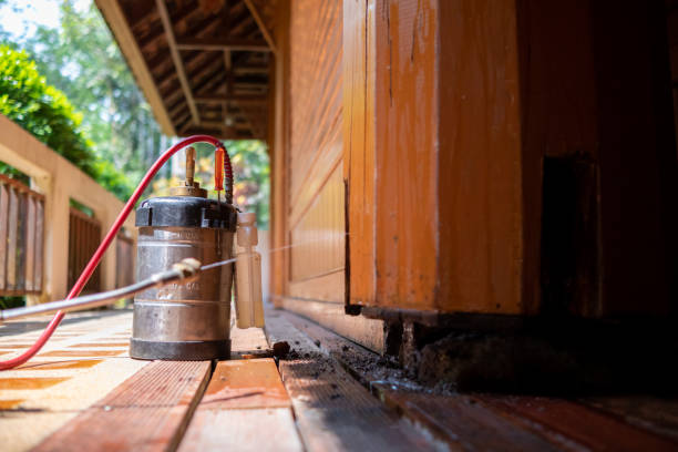 Best Ant Control Services  in Germantown, WI